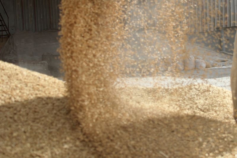 Bluegrass Product Guide