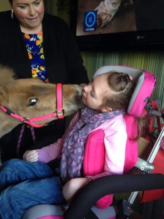 151805543 1895525183936057 2301168423181117466 n