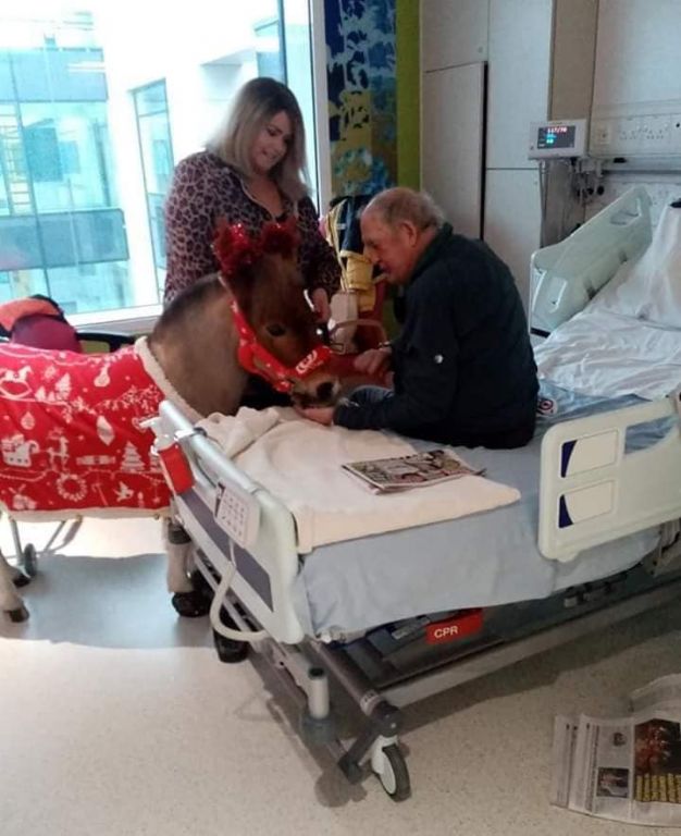 152731204 1895525607269348 6305472008373597583 n