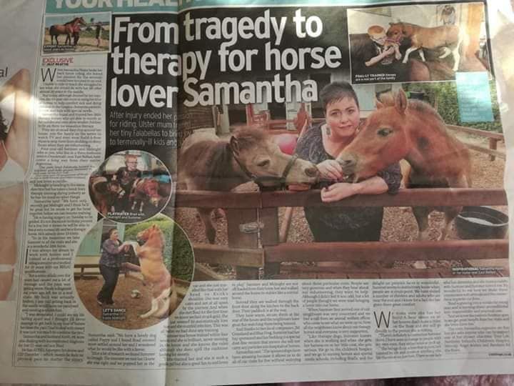 240831386 2049801871841720 8804265785032650067 n