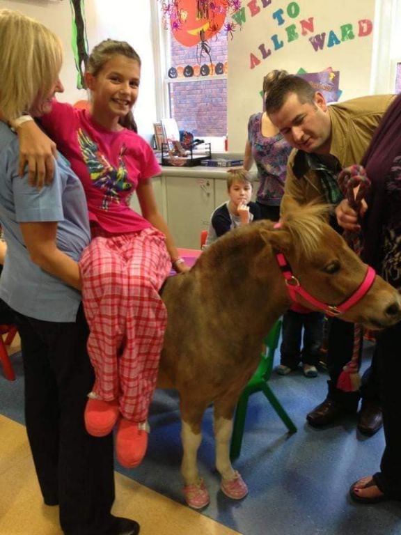 241053363 2049800608508513 421053803631550293 n