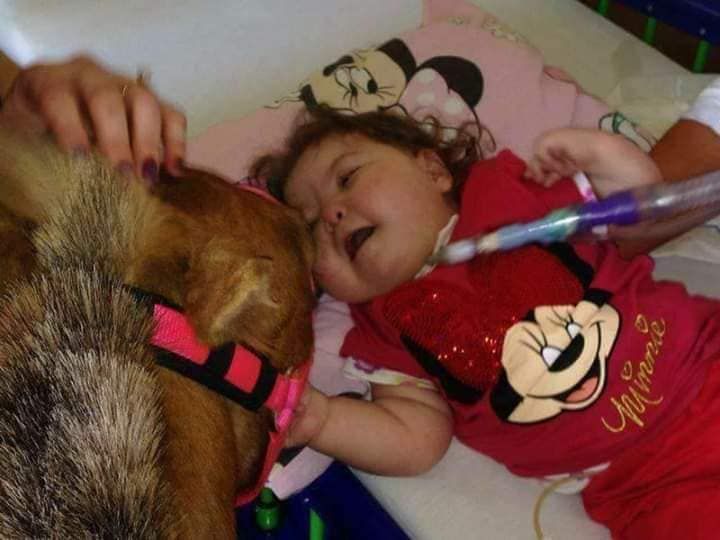 241054831 2049802438508330 6375188693429423176 n