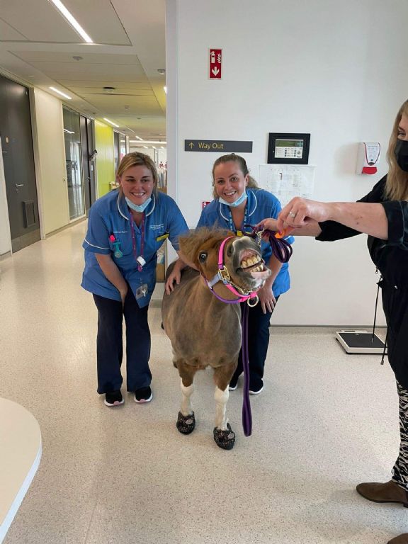 263737464 2124285641060009 2854404813056767241 n