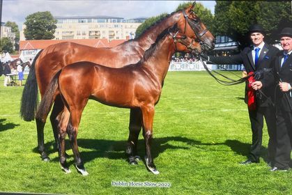 300037625 1790159074675318 8682952049035828436 n