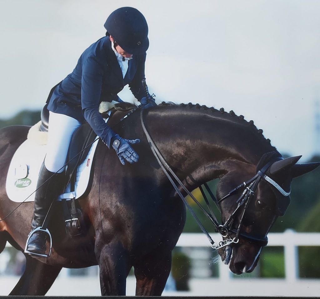 309624995 5581553121901407 4792344446872939103 n