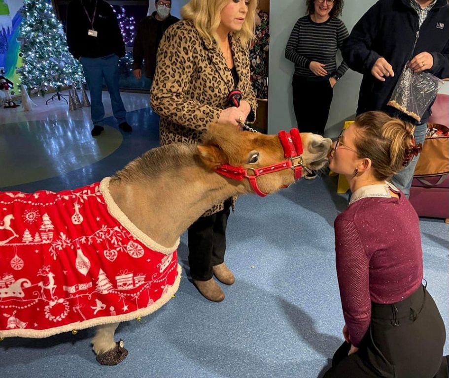 321433563 511377237638391 133682231428775448 n