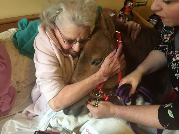 324147441 1633424923753423 2118321669755789591 n