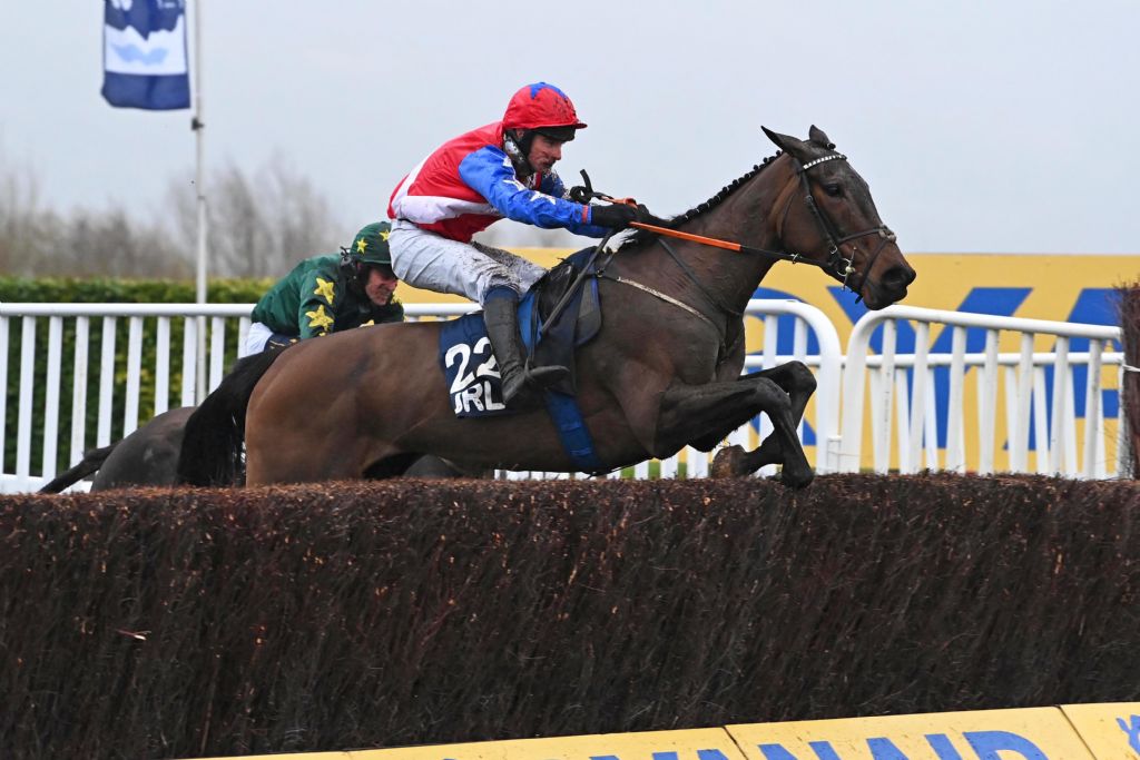 angels dawn cheltenham 1