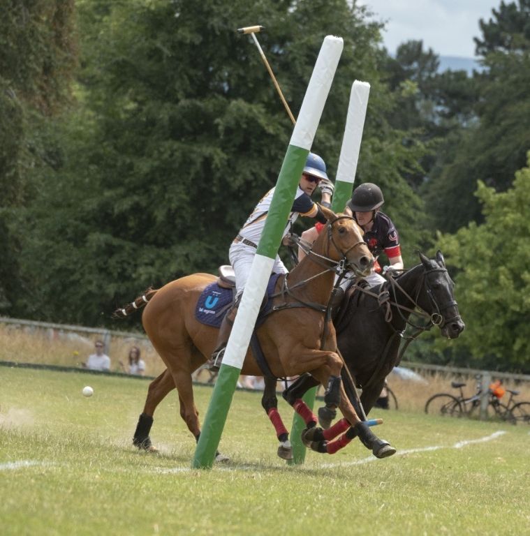 Sponsored Team LHK Polo - Success is Both Horse and Rider 