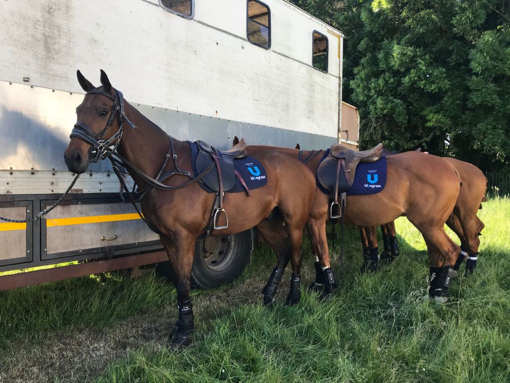 Behind the Success with Bluegrass Sponsored Polo Team  LHK Insurance