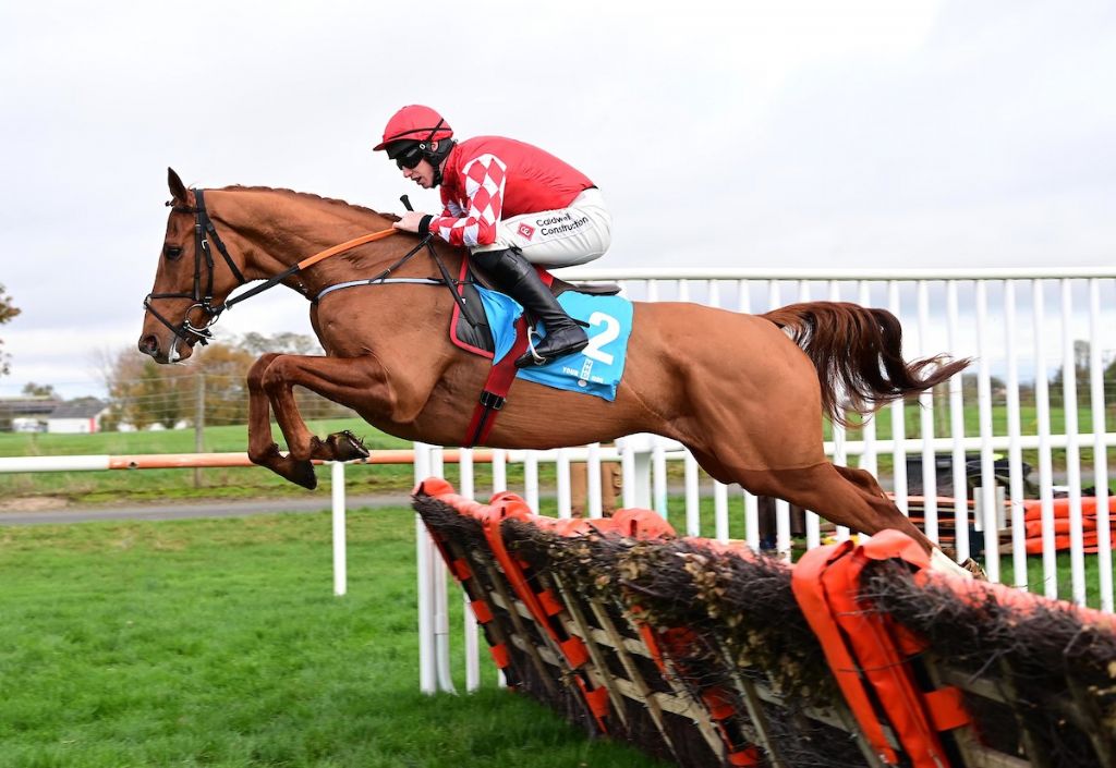 pied piper down royal 04112022