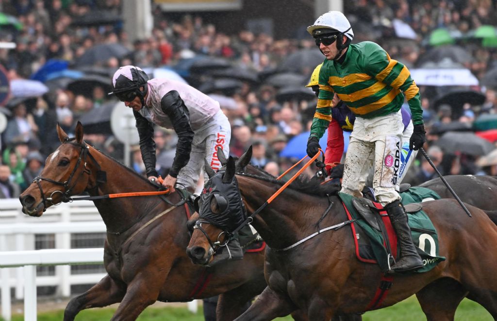 sire du berlais chelt f4