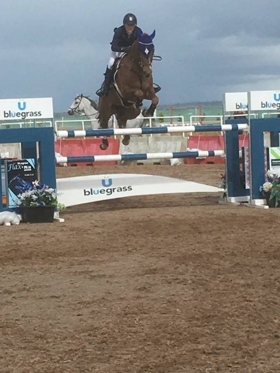 spring champs portmore