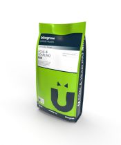 Foal And Yearling Mix 