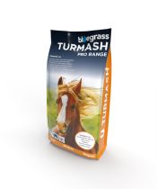 Turmash